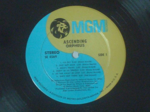 ASCENDING / ORPHEUS US.org盤LP < CD/DVD/ビデオ  ASCENDING / ORPHEUS US.org盤LP < CD/DVD/ビデオの