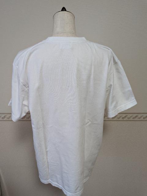 FRAMeWORK t[[NlCGULFCOAST SPORTSWEARʒTVci1gpAP MUSE