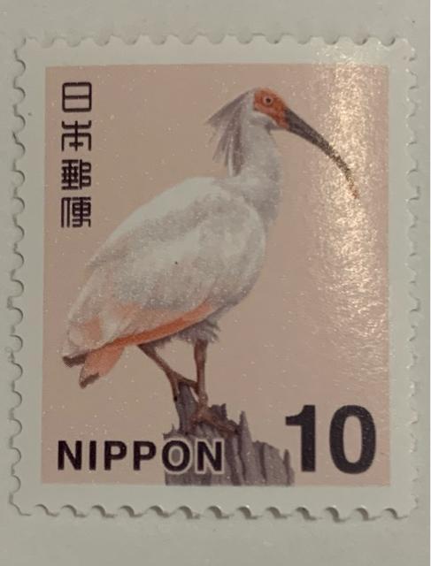 �y���������z���ʐ؎� 10�~ 1�� �V���{�̎��R�F�g�L 