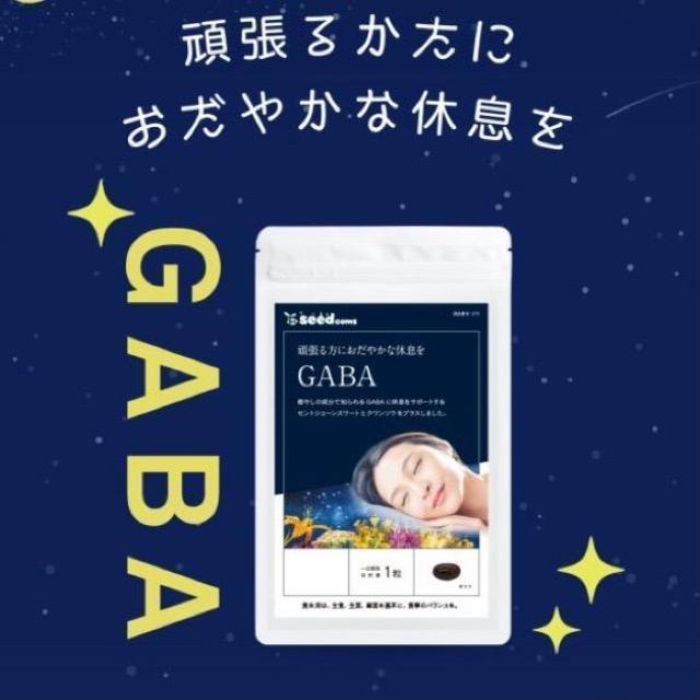 GABA ギャバ サプリメント 約3ヵ月分 健康食品 < グルメ/ドリンク GABA ギャバ サプリメント 約3ヵ月分 健康食品 < グルメ/ドリンクの