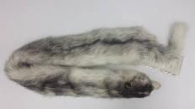 顔付き超高級ミンク マフラー 毛皮 未使用品 < 女性ファッション  顔付き超高級ミンク マフラー 毛皮 未使用品 < 女性ファッションの