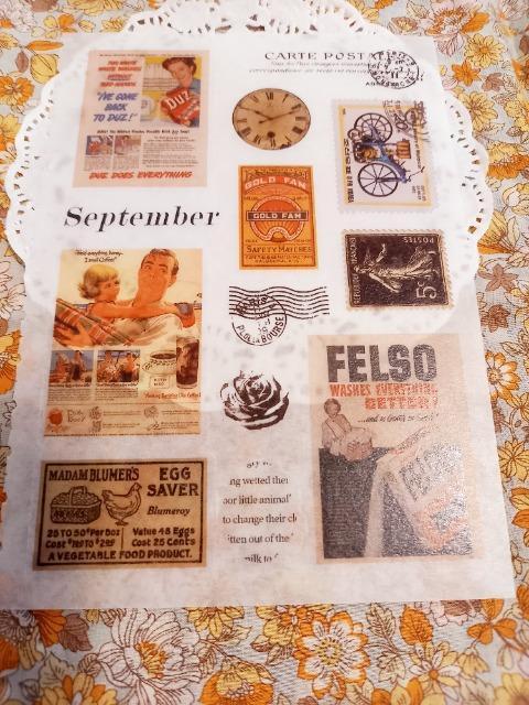 �����������A�����J���ȃ}�X�e�f�ރV�[���V�[�g��  �� �C���e���A/���C�t�� 