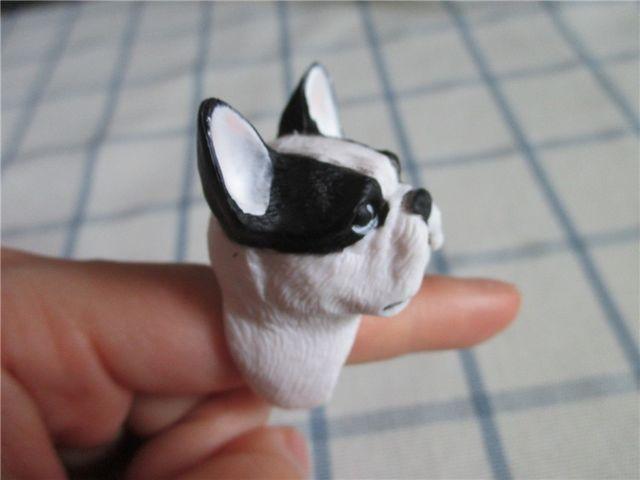 ViAeB[N{XgeA񃊃Ow11  ANZT[/v 