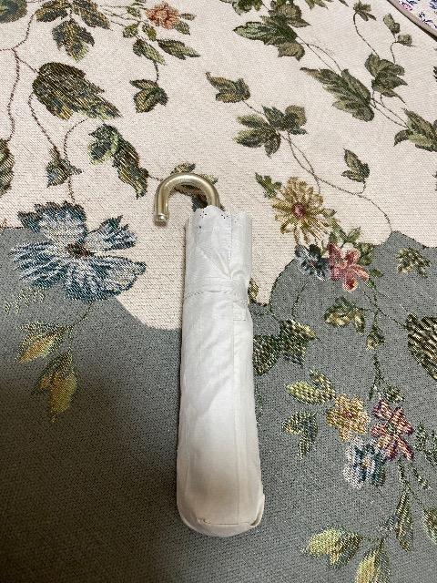 Vigp:grove:Jp:܂肽ݎP 