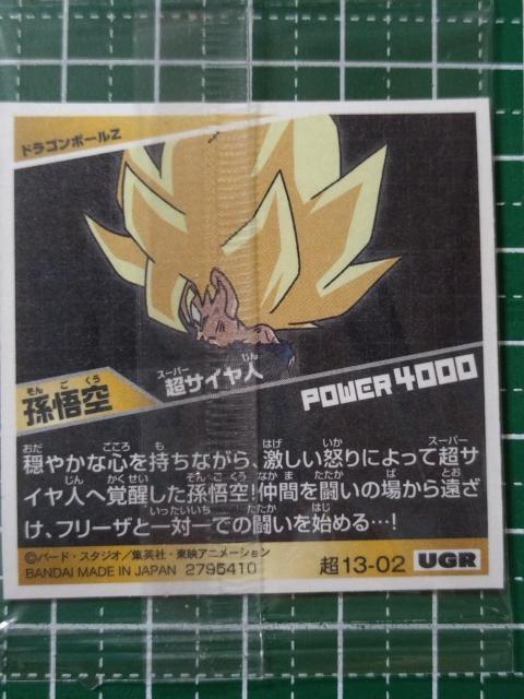 hS{[  mV[EGn[X ˂̐m  AeBbgSbgA 13- 02