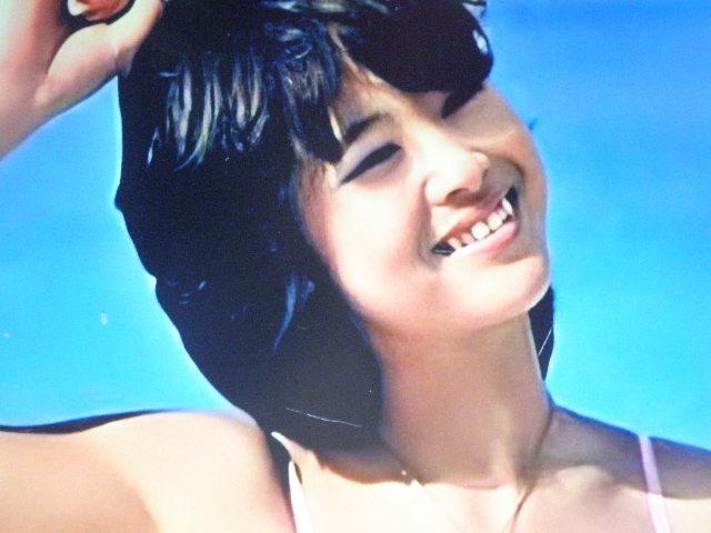 ★松田 聖子(まつだ せいこ)A4サイズ4枚+B5サイズ+A5サイズ+◎ クリアポケット入り < タレントグッズ  ★松田 聖子(まつだ せいこ)A4サイズ4枚+B5サイズ+A5サイズ+◎ クリアポケット入り < タレントグッズの