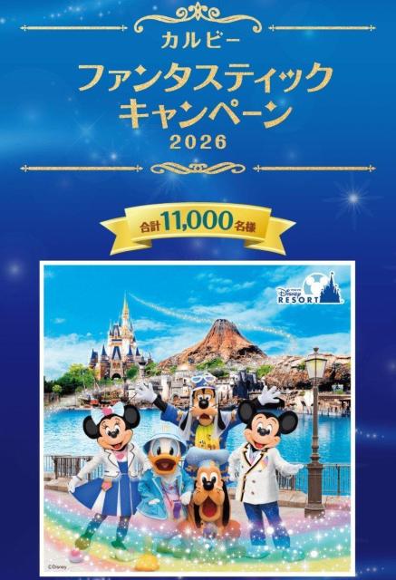 ☆カルビーキャンペーン×応募点数・120点・送料込み☆ < チケット/金券 ☆カルビーキャンペーン×応募点数・120点・送料込み☆ < チケット/金券の