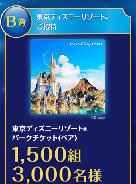 ☆カルビーキャンペーン×応募点数・120点・送料込み☆ < チケット/金券 ☆カルビーキャンペーン×応募点数・120点・送料込み☆ < チケット/金券の