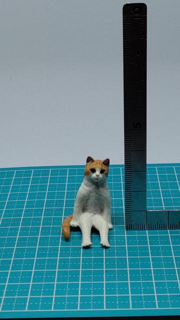 �K�`���K�`���@�����@����L�@�@�O�єL�@�@�M�������e�B���J�v�Z������  �� �z�r�[�� 