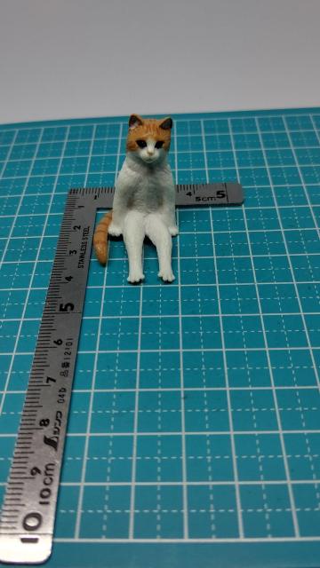 �K�`���K�`���@�����@����L�@�@�O�єL�@�@�M�������e�B���J�v�Z������ �� �z�r�[�� 