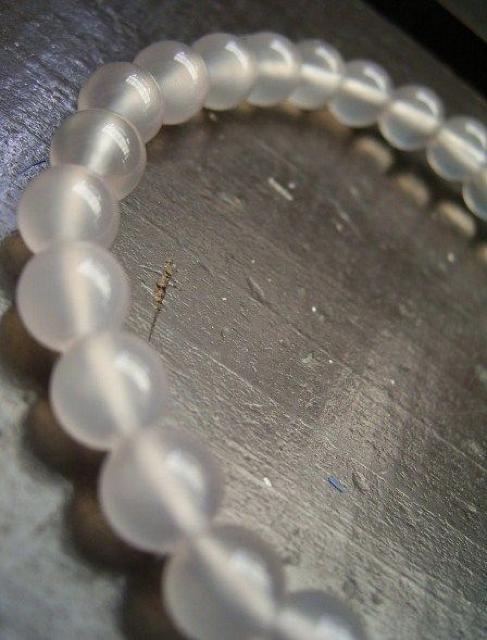 6~ʁ@sNJZhj[uXbg  ANZT[/v 