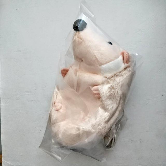 ʂ݃|[`@nlY~@[J[(nbs[z[X̑mYƖf)@SPWZ`  t@bV 