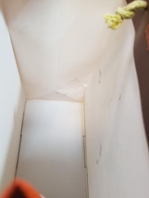 AULANI RIi  hawaii  t@bV 