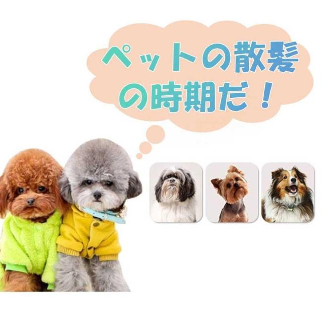 ペット バリカン 電動 トリミング カット 犬 猫 コードレス USB充電 静音 長持ち 操作簡単 足裏 部分 全身カット可 長さ < 家電/AV  ペット バリカン 電動 トリミング カット 犬 猫 コードレス USB充電 静音 長持ち 操作簡単 足裏 部分 全身カット可 長さ < 家電/AVの