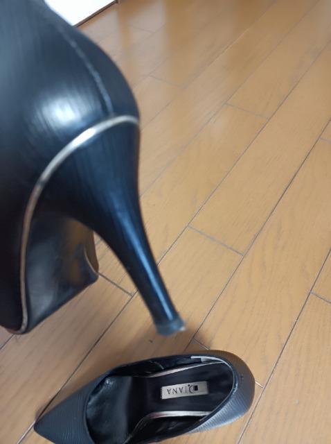 DIANAq[pvXǕirXeL_CAi  t@bV 