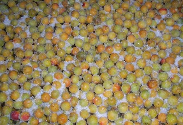 ★最終在庫★紀州産高級無添加梅干し★南高梅B級 2L中粒(1kg入)★ < グルメ/ドリンク ★最終在庫★紀州産高級無添加梅干し★南高梅B級 2L中粒(1kg入)★ < グルメ/ドリンクの