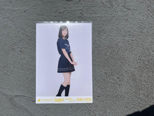 掛橋沙耶香 sing outライブ会場限定コンプリート写真 < タレントグッズ  掛橋沙耶香 sing outライブ会場限定コンプリート写真 < タレントグッズの