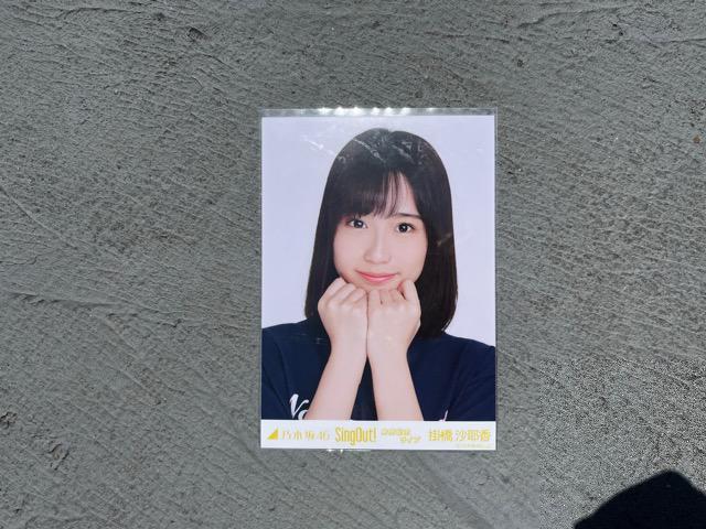 掛橋沙耶香 sing outライブ会場限定コンプリート写真 < タレントグッズ  掛橋沙耶香 sing outライブ会場限定コンプリート写真 < タレントグッズの