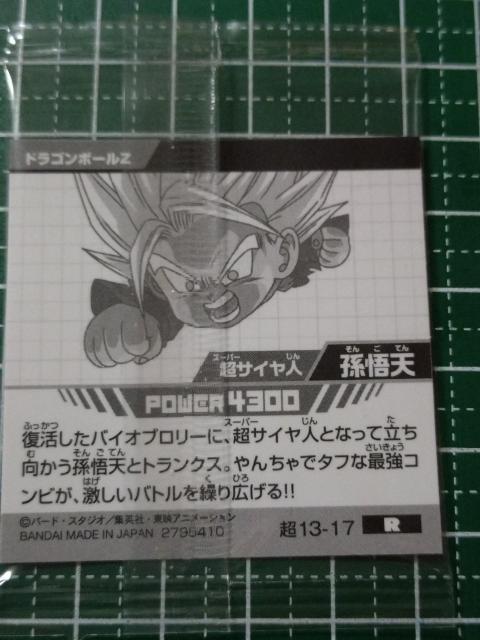 hS{[  mV[EGn[X ˂̐m  V A 13-17