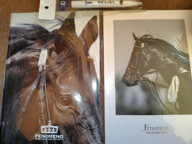 競馬 フェノーメノ 尻尾毛付き < 本/雑誌 競馬 フェノーメノ 尻尾毛付き < 本/雑誌の