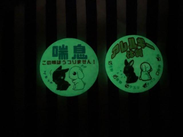 �ӎv�\���ʃo�b�W�V�i�������e�E�T�M/�b�����񂻂� �� �����t�@�b�V������ 