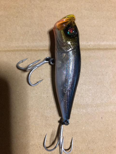 メガバス ポップX 黒鯛 < レジャー/スポーツ メガバス ポップX 黒鯛 < レジャー/スポーツの