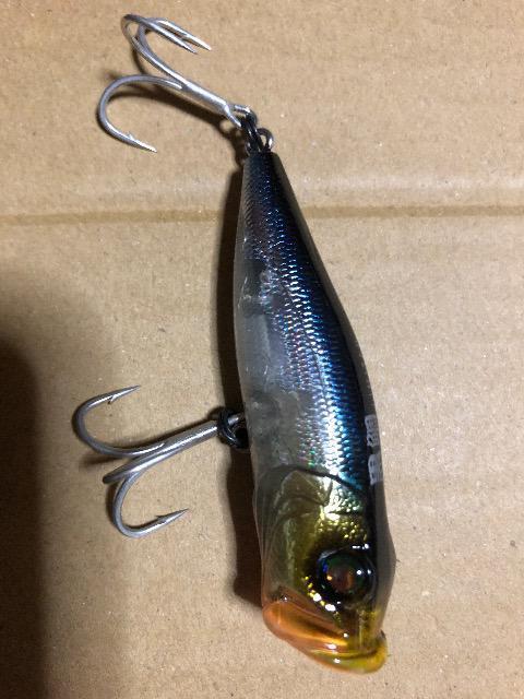 メガバス ポップX 黒鯛 < レジャー/スポーツ メガバス ポップX 黒鯛 < レジャー/スポーツの