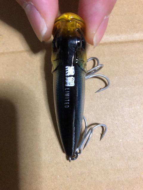 メガバス ポップX 黒鯛 < レジャー/スポーツ メガバス ポップX 黒鯛 < レジャー/スポーツの