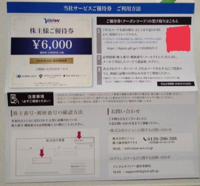 ビジョン・株主優待券6000円分 有効期限2026年9月30日 Vision < チケット/金券  ビジョン・株主優待券6000円分 有効期限2026年9月30日 Vision < チケット/金券の