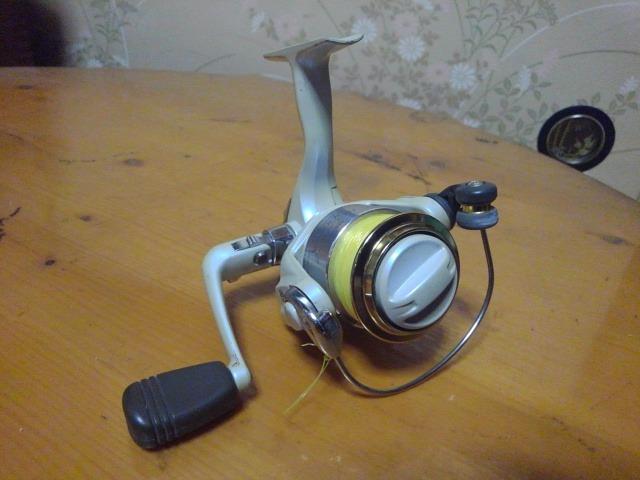 ダイワリーガル < レジャー/スポーツ  ダイワリーガル < レジャー/スポーツの