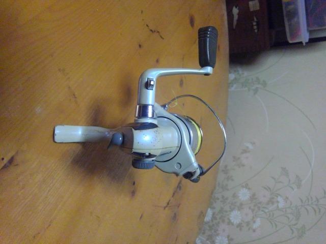 ダイワリーガル < レジャー/スポーツ  ダイワリーガル < レジャー/スポーツの