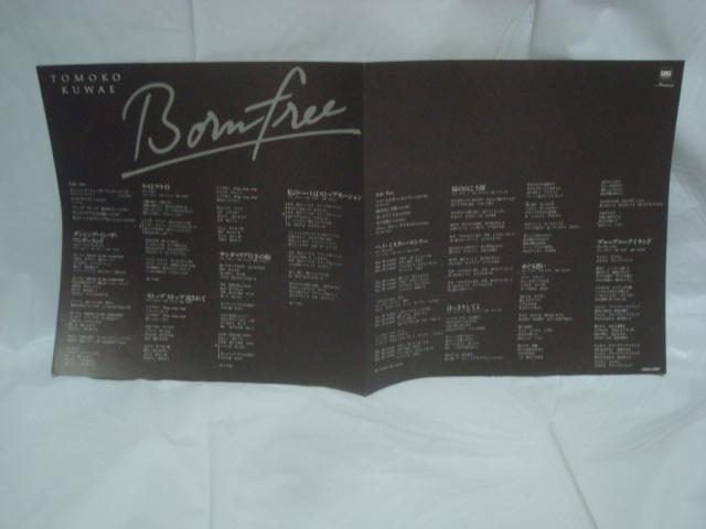 {[Et[i쐶ɐ܂āj / K]mq ѕtLP  CD/DVD/rfI 