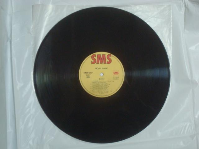 {[Et[i쐶ɐ܂āj / K]mq ѕtLP  CD/DVD/rfI 