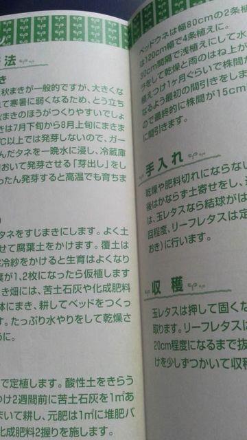 家庭菜園、レタス栽培方法冊子 れたす < ペット/手芸/園芸  家庭菜園、レタス栽培方法冊子 れたす < ペット/手芸/園芸の