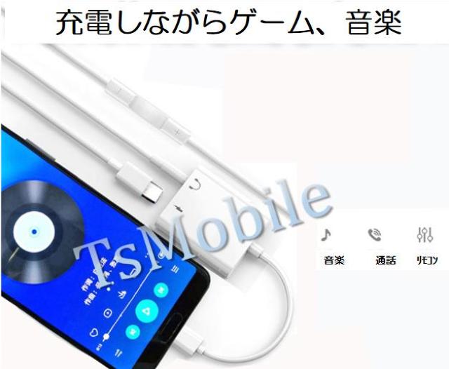 Type c ϊ P[u Type-C ϊ A_v^ y𕷂Ȃ[  Ɠd/AV 