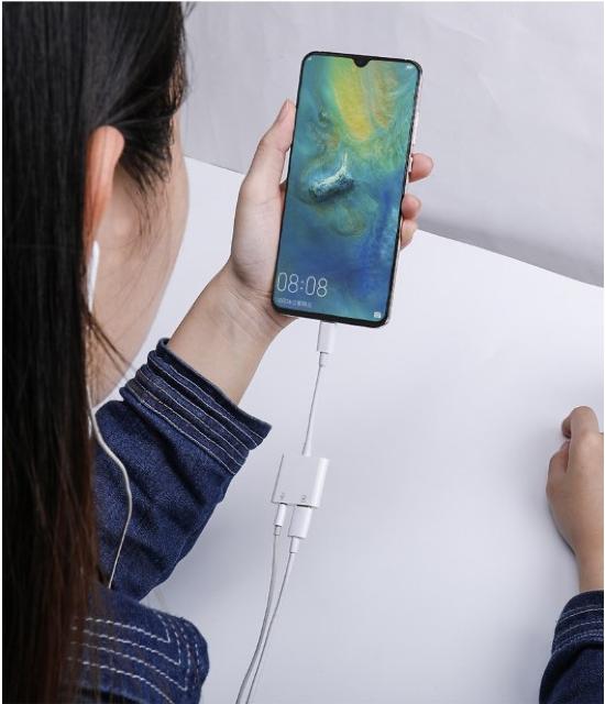 Type c ϊ P[u Type-C ϊ A_v^ y𕷂Ȃ[  Ɠd/AV 