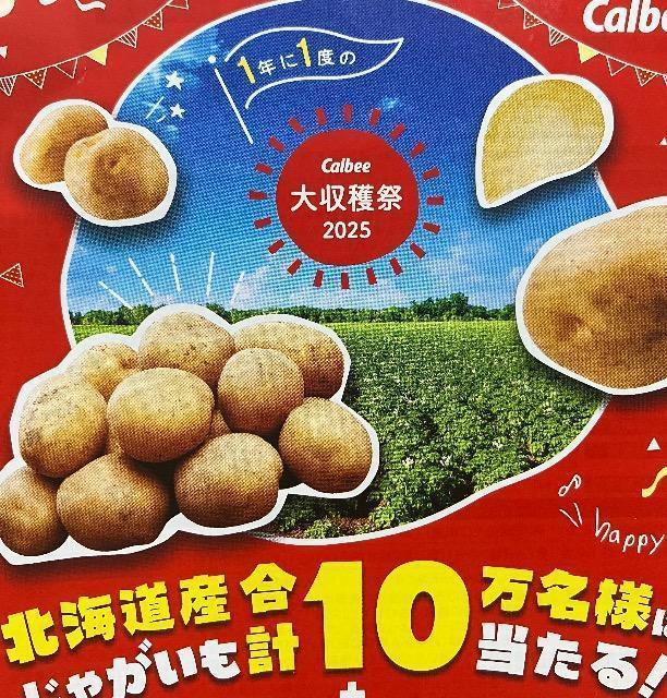 北海道産じゃがいも+エコバッグセット/5万名様10口 < チケット/金券 北海道産じゃがいも+エコバッグセット/5万名様10口 < チケット/金券の