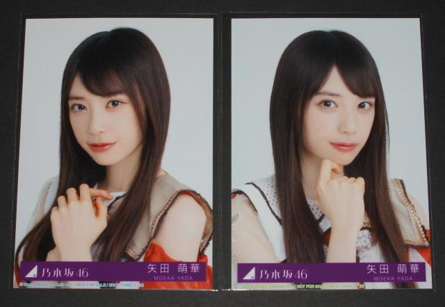 乃木坂46 ビリヤニ 生写真2枚セット 矢田萌華 < タレントグッズ 乃木坂46 ビリヤニ 生写真2枚セット 矢田萌華 < タレントグッズの