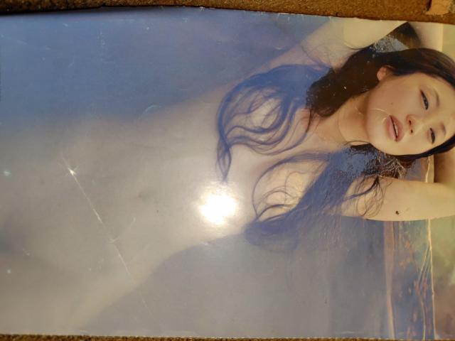 �d�� �ʐ^�W �؂蔲���Z�b�g �� �^�����g�O�b�Y�� 