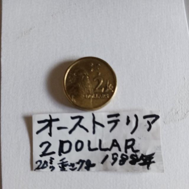 �I_�X�g�����A�R�C�� �� �z�r�[�� 