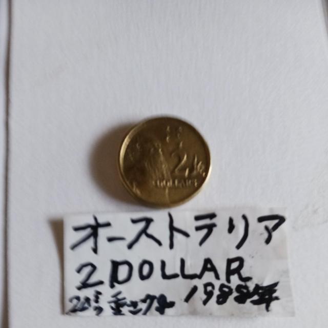 �I_�X�g�����A�R�C�� �� �z�r�[�� 