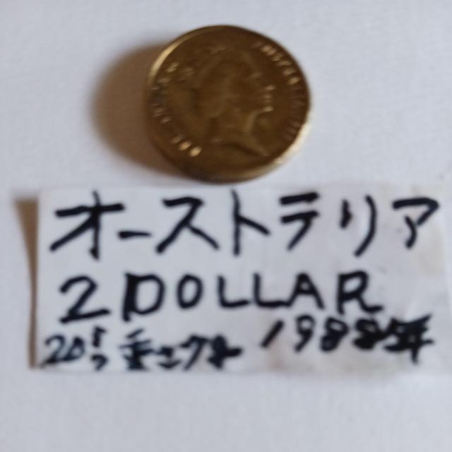 �I_�X�g�����A�R�C�� �� �z�r�[�� 