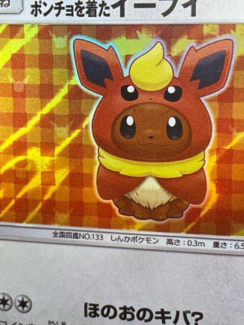 �y�󏭁E�v�����z�|���`���𒅂��C�[�u�C �u�[�X�^�[ 139/SM-P �|�P�J �� �g���[�f�B���O�J�[�h�� 