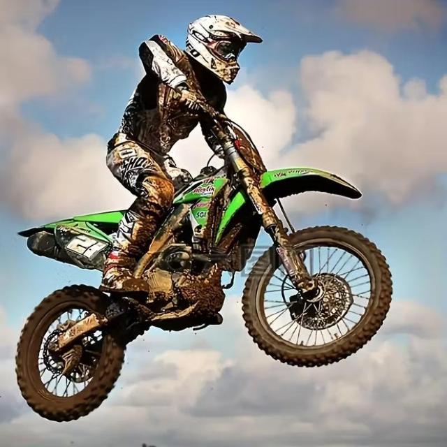 X1390~gNX2026 V gNX[VOMA - t{fB LN^[OtBbN Vc wk  jt@bV 