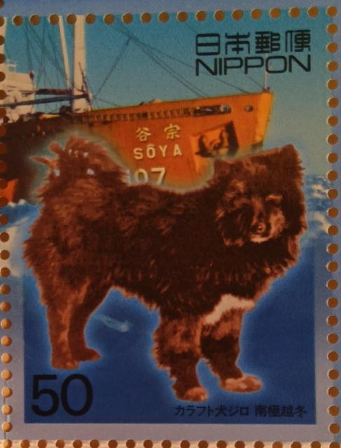 ��50�~�؎�~1�����@���J���t�g���W����ɉz�~�� 