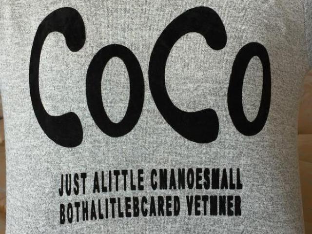 ���������@���f�B�[�X COCO ���S ����T�V���c�@�O���[ �� �����t�@�b�V������ 