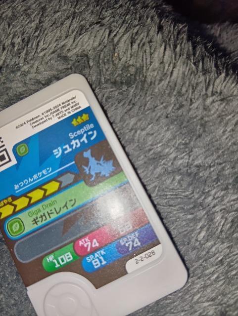 ポケモンフレンダ*ジュカイン*未使用 < トレーディングカード ポケモンフレンダ*ジュカイン*未使用 < トレーディングカードの