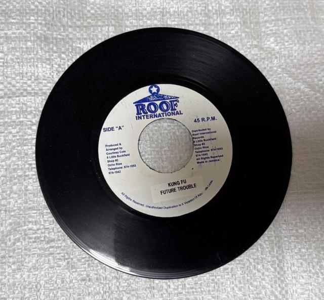 ROOF INTERNATIONAL KUNG FU FUTURE TROUBLE 7�C���` ���R�[�h ���Q�G �_���X�z�[��  �� CD/DVD/�r�f�I�� 