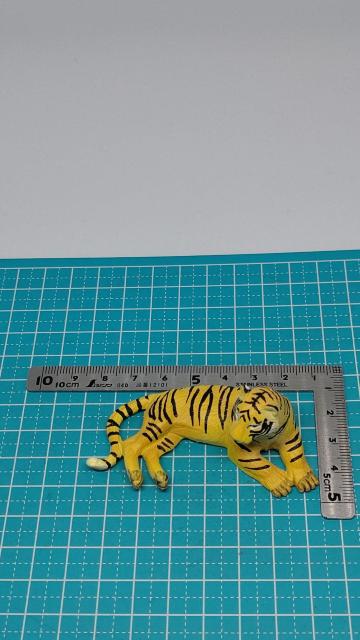 �K�`���K�`���@�G�C�R�[�@�����t�B�M���A�@�g���@�~�j�`���A�@��  �� �z�r�[�� 