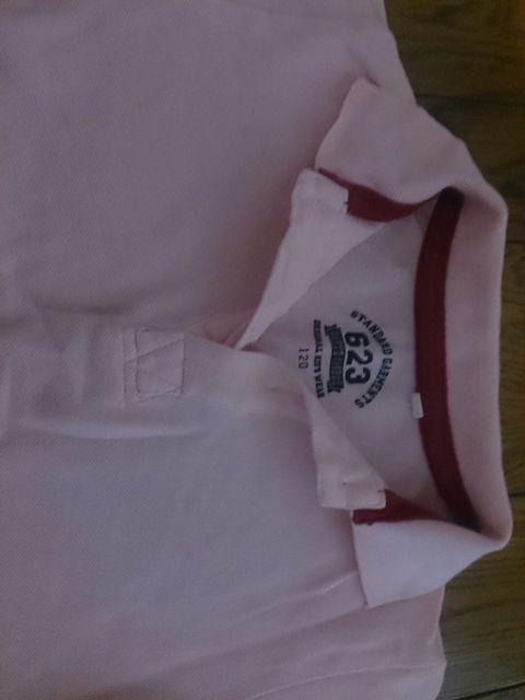 120 STANDARD GARMENTS sÑ|Vc  LbY/xr[ 